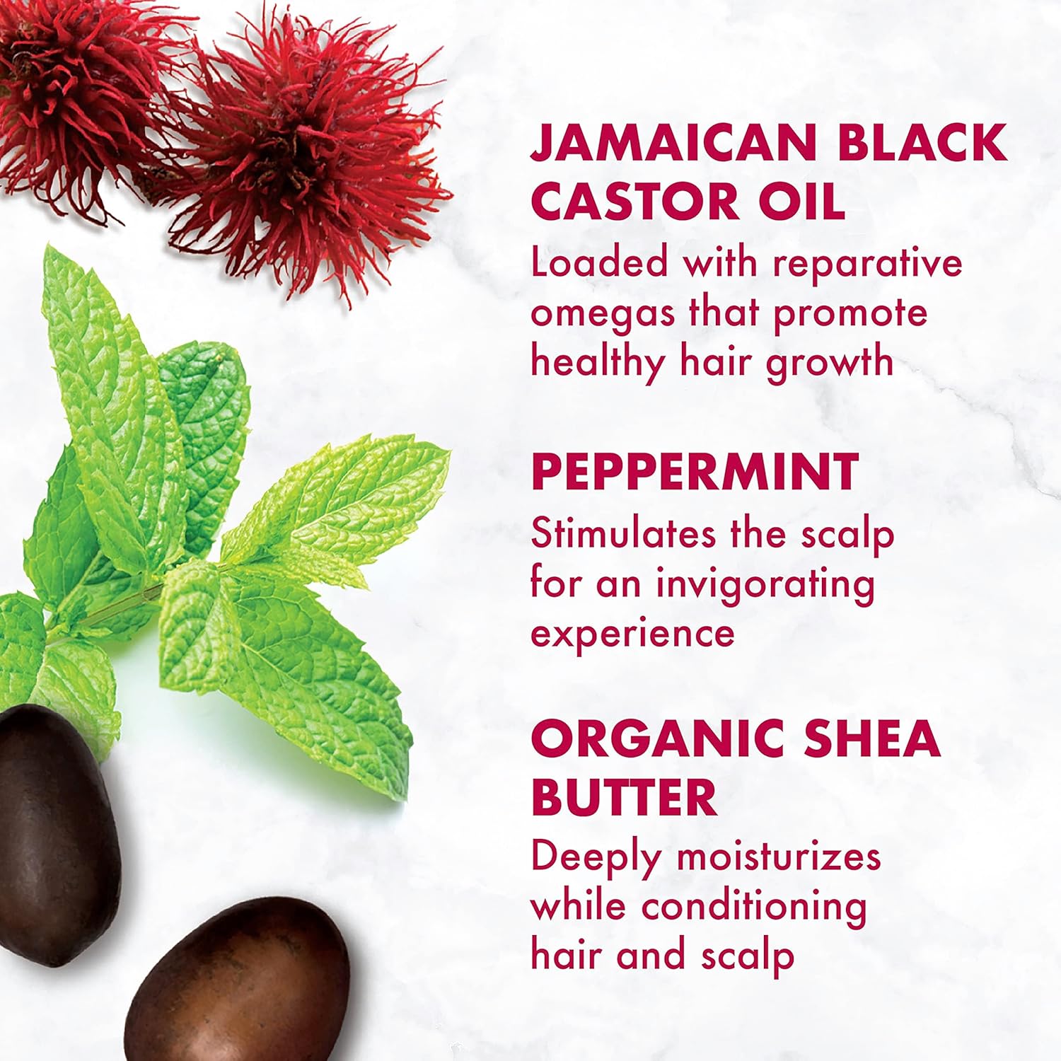 Shea Moisture Jamaican Black Castor Oil Strengthen & Restore Conditioner 13 oz / 384 ml - Restore and strengthen damaged, bri