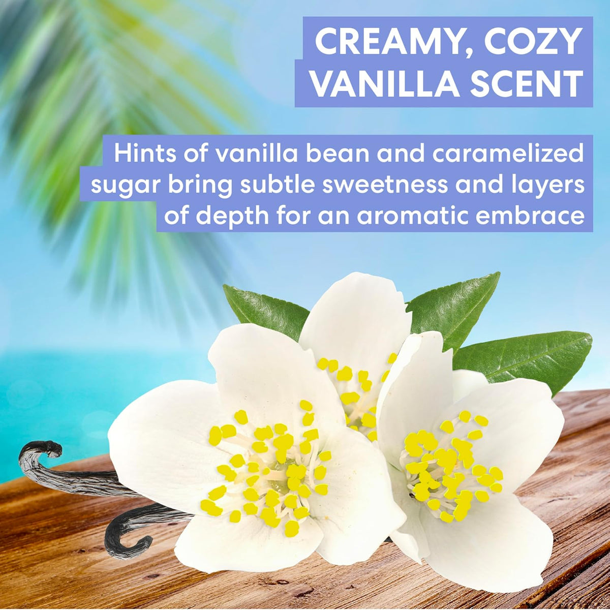 White flowers and vanilla pods on a wooden surface with a creamy cosy vanilla scent description