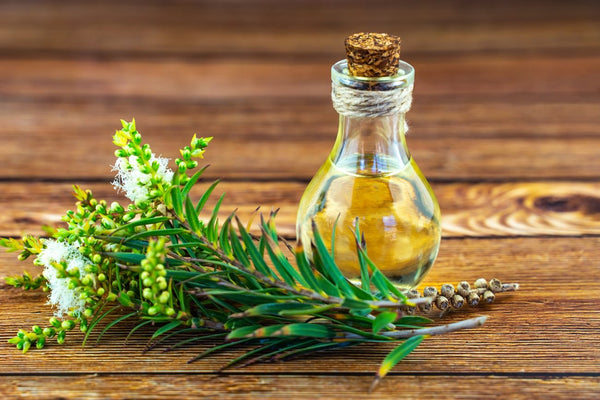 Tea Tree Products