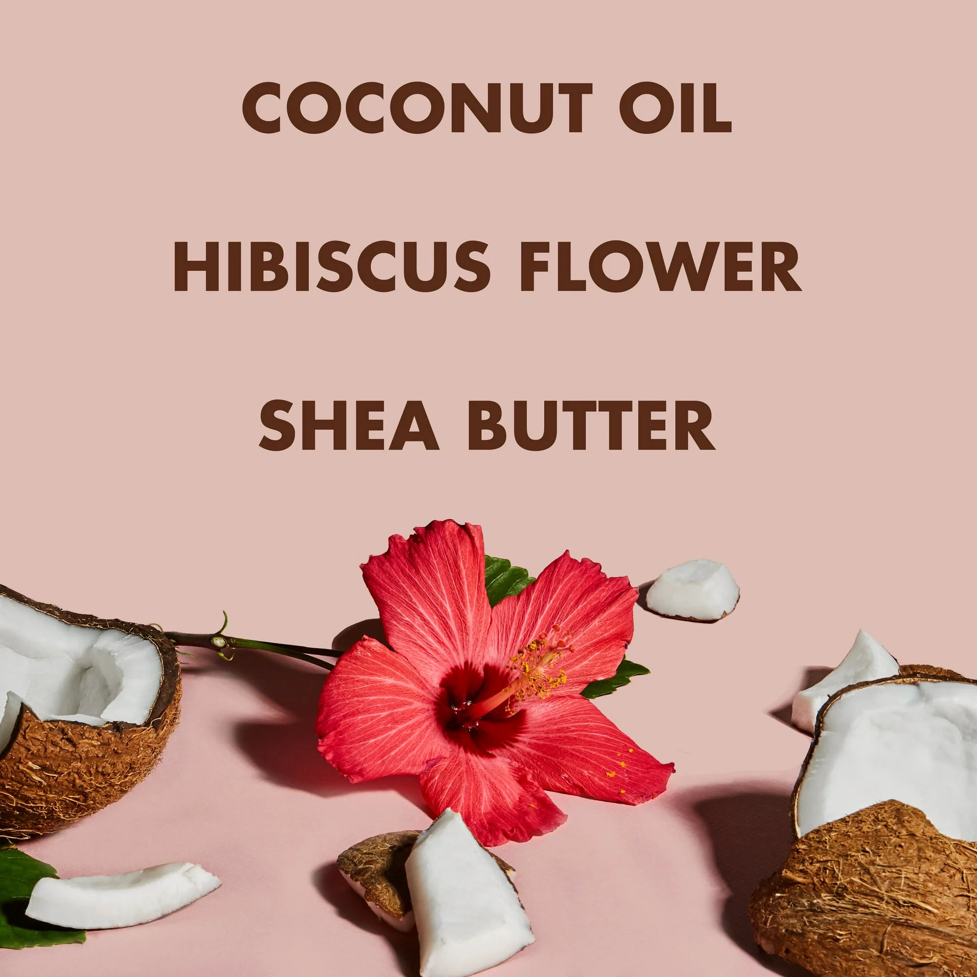 Shea Moisture Coconut & Hibiscus key Ingredients