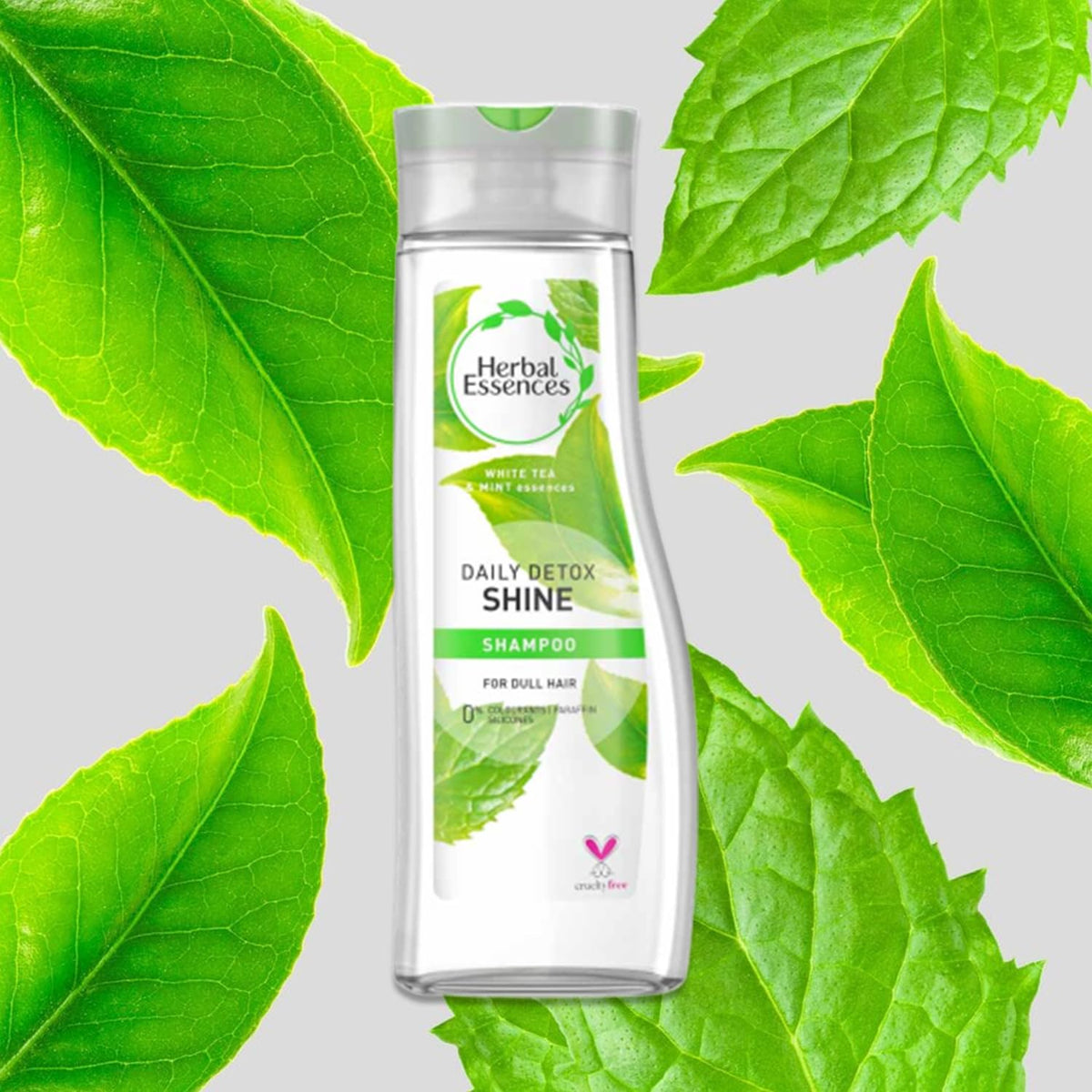 Daily Detox Shine shampoo bottle surrounded by floating green tea and mint leaves on a grey background
