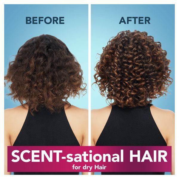 Before and after view of curly brown hair from behind with the caption scent-sational hair for dry hair